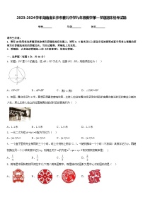 2023-2024学年湖南省长沙市雅礼中学九年级数学第一学期期末统考试题含答案