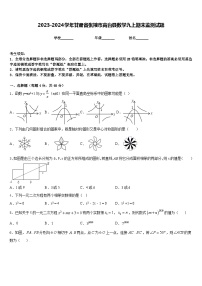 2023-2024学年甘肃省张掖市高台县数学九上期末监测试题含答案