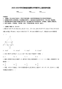 2023-2024学年甘肃省武威第九中学数学九上期末联考试题含答案