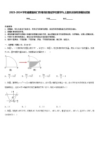 2023-2024学年福建省厦门市海沧区鳌冠学校数学九上期末达标检测模拟试题含答案