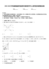 2023-2024学年福建省福州市福清市林厝初级中学九上数学期末调研模拟试题含答案