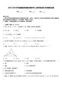 2023-2024学年福建省泉州德化县联考九上数学期末复习检测模拟试题含答案