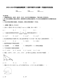 2023-2024学年福建省莆田第二十四中学数学九年级第一学期期末检测试题含答案