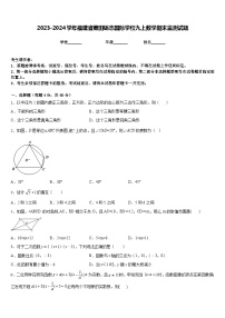 2023-2024学年福建省莆田砺志国际学校九上数学期末监测试题含答案