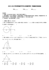 2023-2024学年贵州省毕节市九年级数学第一学期期末预测试题含答案