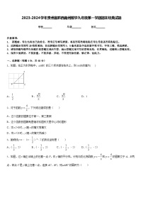 2023-2024学年贵州省黔西南州数学九年级第一学期期末经典试题含答案