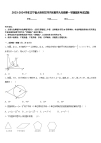 2023-2024学年辽宁省大连市甘井子区数学九年级第一学期期末考试试题含答案