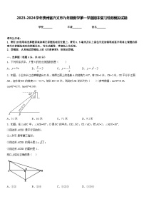 2023-2024学年贵州省兴义市九年级数学第一学期期末复习检测模拟试题含答案