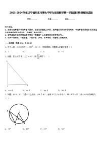 2023-2024学年辽宁省丹东市第七中学九年级数学第一学期期末检测模拟试题含答案