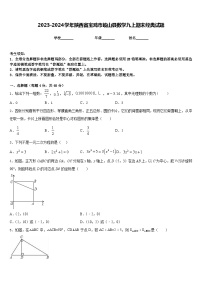 2023-2024学年陕西省宝鸡市岐山县数学九上期末经典试题含答案