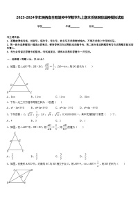 2023-2024学年陕西省合阳城关中学数学九上期末质量跟踪监视模拟试题含答案