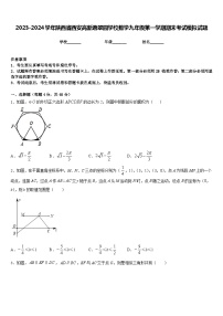 2023-2024学年陕西省西安高新逸翠园学校数学九年级第一学期期末考试模拟试题含答案