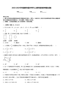 2023-2024学年随州市重点中学九上数学期末联考模拟试题含答案