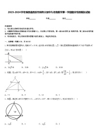 2023-2024学年陕西省西安市陕师大附中九年级数学第一学期期末检测模拟试题含答案