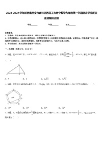 2023-2024学年陕西省西安市碑林区西北工大附中数学九年级第一学期期末学业质量监测模拟试题含答案