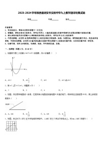 2023-2024学年陕西省延安市实验中学九上数学期末经典试题含答案