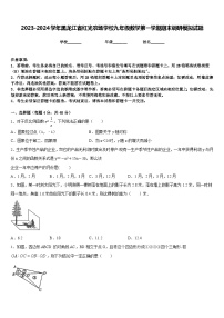 2023-2024学年黑龙江省红光农场学校九年级数学第一学期期末调研模拟试题含答案