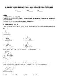 云南省昭通市昭阳区苏家院乡中学2023-2024学年九上数学期末达标检测试题含答案