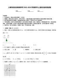 上海市延安实验初级中学2023-2024学年数学九上期末达标检测试题含答案