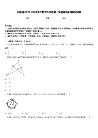 云南省2023-2024学年数学九年级第一学期期末监测模拟试题含答案