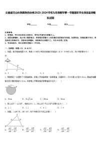 云南省文山壮族苗族自治州2023-2024学年九年级数学第一学期期末学业质量监测模拟试题含答案