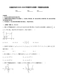 云南省开远市2023-2024学年数学九年级第一学期期末监测试题含答案