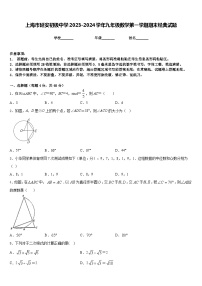 上海市延安初级中学2023-2024学年九年级数学第一学期期末经典试题含答案