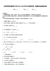 上海市奉贤区南桥镇十学校2023-2024学年九年级数学第一学期期末监测模拟试题含答案