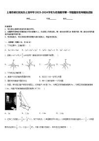 上海市闵行区民办上宝中学2023-2024学年九年级数学第一学期期末统考模拟试题含答案