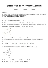 北京市丰台区长辛店第一中学2023-2024学年数学九上期末考试试题含答案