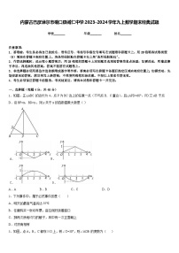 内蒙古巴彦淖尔市磴口县诚仁中学2023-2024学年九上数学期末经典试题含答案