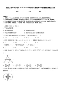 内蒙古赤峰市宁城县2023-2024学年数学九年级第一学期期末统考模拟试题含答案