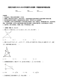 内蒙古乌海市2023-2024学年数学九年级第一学期期末联考模拟试题含答案