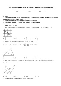 内蒙古呼伦贝尔市莫旗2023-2024学年九上数学期末复习检测模拟试题含答案