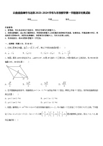 云南省曲靖市马龙县2023-2024学年九年级数学第一学期期末经典试题含答案