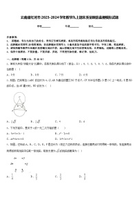 云南省红河市2023-2024学年数学九上期末质量跟踪监视模拟试题含答案