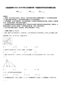 云南省曲靖市2023-2024学年九年级数学第一学期期末教学质量检测模拟试题含答案