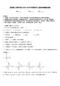 北京理工大附中分校2023-2024学年数学九上期末经典模拟试题含答案