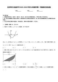 北京师范大附属中学2023-2024学年九年级数学第一学期期末预测试题含答案