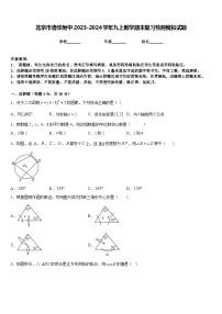 北京市清华附中2023-2024学年九上数学期末复习检测模拟试题含答案