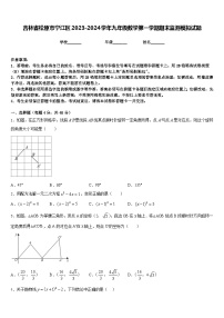 吉林省松原市宁江区2023-2024学年九年级数学第一学期期末监测模拟试题含答案