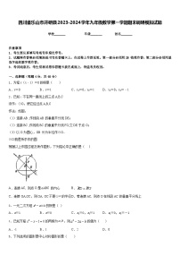 四川省乐山市井研县2023-2024学年九年级数学第一学期期末调研模拟试题含答案