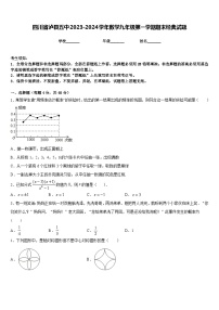 四川省泸县五中2023-2024学年数学九年级第一学期期末经典试题含答案