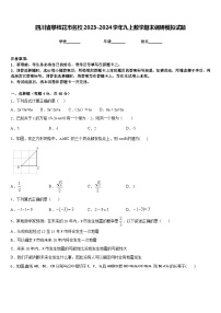 四川省攀枝花市名校2023-2024学年九上数学期末调研模拟试题含答案