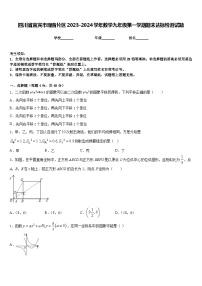 四川省宜宾市观音片区2023-2024学年数学九年级第一学期期末达标检测试题含答案