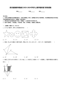 四川省简阳市镇金区2023-2024学年九上数学期末复习检测试题含答案