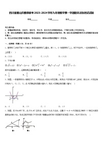 四川省眉山洪雅县联考2023-2024学年九年级数学第一学期期末达标测试试题含答案