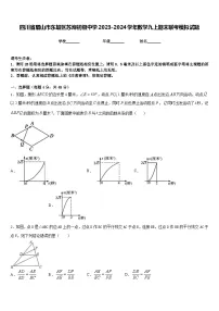 四川省眉山市东坡区苏洵初级中学2023-2024学年数学九上期末联考模拟试题含答案