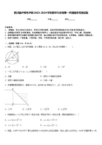 四川省泸州市泸县2023-2024学年数学九年级第一学期期末检测试题含答案