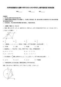 天津市滨海新区大港第十中学2023-2024学年九上数学期末复习检测试题含答案